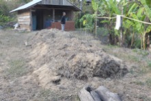 Another compost pile that was done a few days ago. It is already very warm when you stick your hand into it.