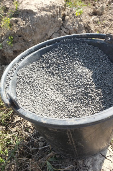 Bat guano, a very powerful organic fertilizer. It has been broken down and does not smell.