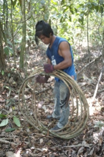 Wira tying the rolled vines.